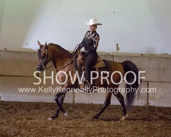 Region3_2015_MonHorsemanship_0707 copy