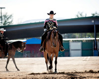Region3_2015_MonHorsemanship_0714 copy