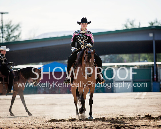 Region3_2015_MonHorsemanship_0714 copy