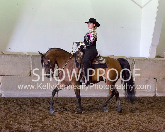 Region3_2015_MonHorsemanship_0727 copy