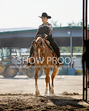 Region3_2015_MonHorsemanship_0732 copy