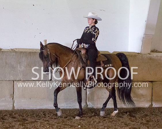Region3_2015_MonHorsemanship_0737 copy