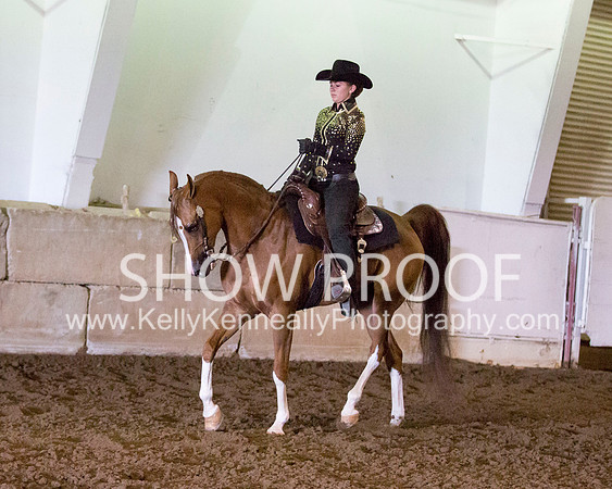 Region3_2015_MonHorsemanship_0741 copy