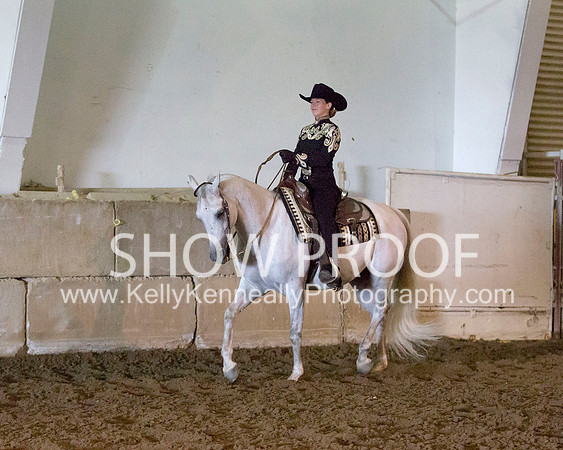 Region3_2015_MonHorsemanship_0746 copy