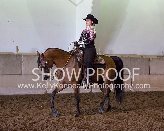 Region3_2015_MonHorsemanship_0750 copy