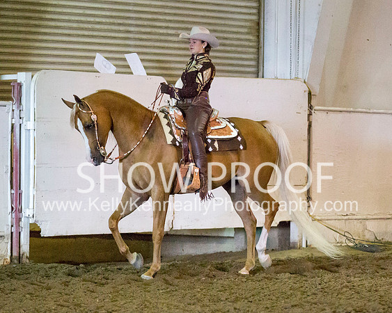 Region3_2015_MonHorsemanship_0756 copy