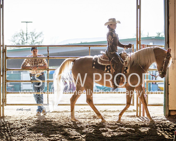 Region3_2015_MonHorsemanship_0773 copy