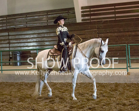 Region3_2015_MonHorsemanship_0775 copy