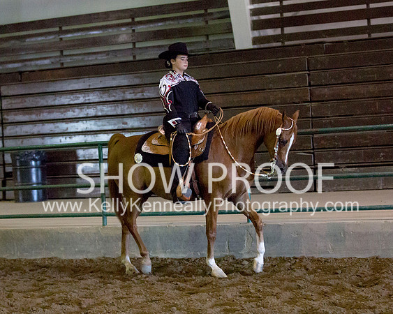 Region3_2015_MonHorsemanship_0780 copy