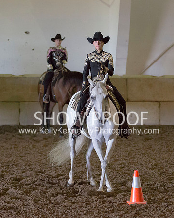 Region3_2015_MonHorsemanship_0798 copy