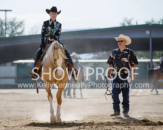 Region3_2015_MonHorsemanship_0835 copy