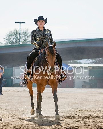 Region3_2015_MonHorsemanship_0840 copy