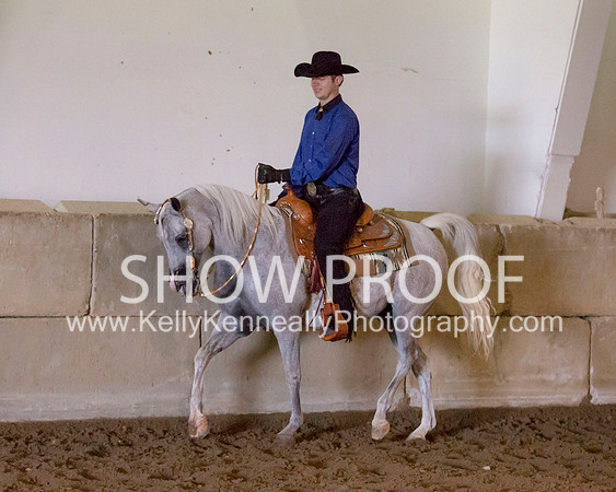 Region3_2015_MonHorsemanship_0842 copy