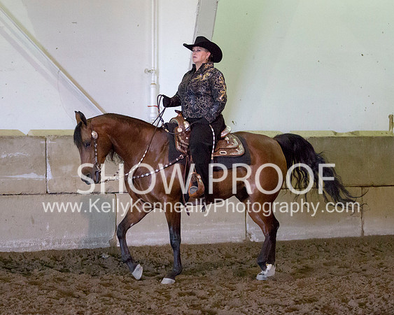 Region3_2015_MonHorsemanship_0852 copy