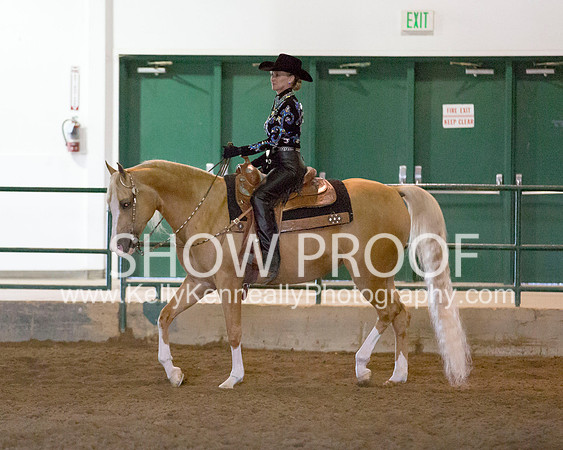 Region3_2015_MonHorsemanship_0857 copy