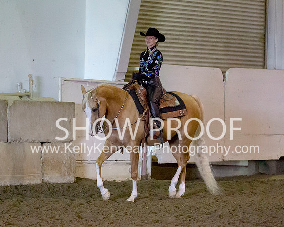 Region3_2015_MonHorsemanship_0862 copy