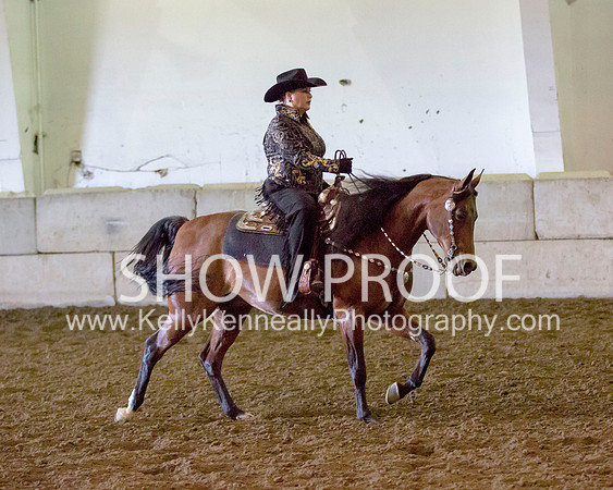 Region3_2015_MonHorsemanship_0887 copy