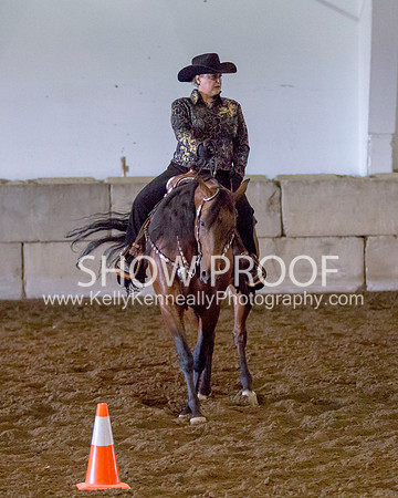 Region3_2015_MonHorsemanship_0892 copy