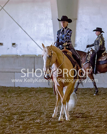 Region3_2015_MonHorsemanship_0897 copy