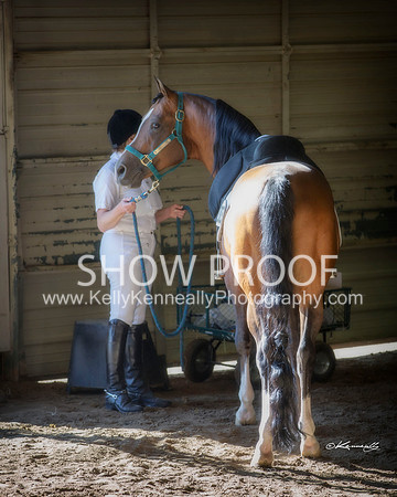 Region3_2015_TuesEngTrail_1247 copy