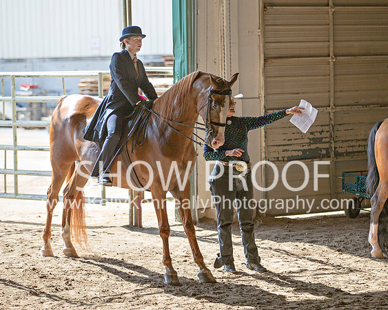Region3_2015_TuesEngTrail_1365 copy