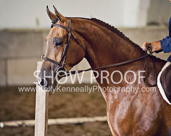 Region3_2015_TuesEngTrail_1433 copy
