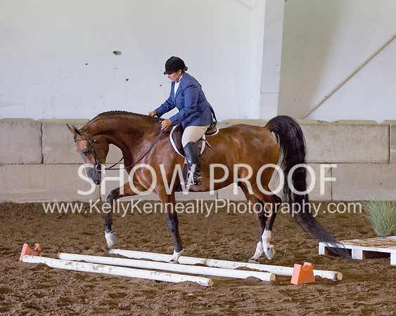 Region3_2015_TuesEngTrail_1449 copy
