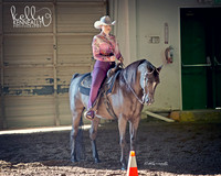 Region3_2015_MonHorsemanship_0672