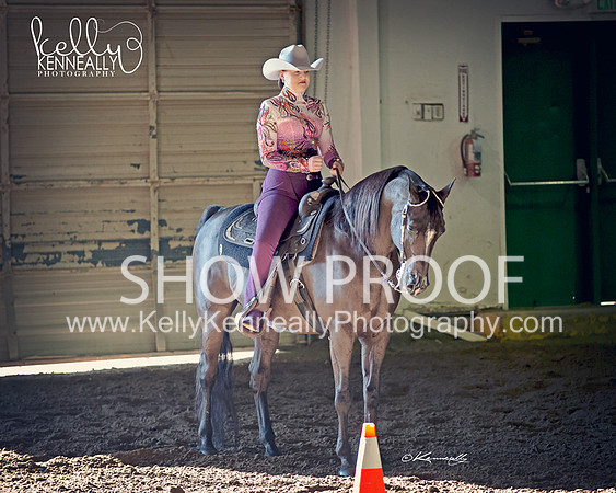 Region3_2015_MonHorsemanship_0672