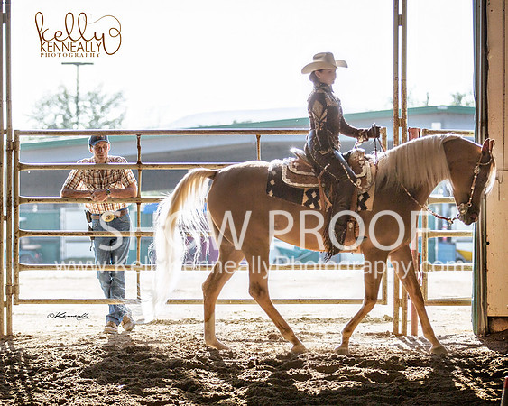 Region3_2015_MonHorsemanship_0773