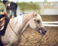 Region3_2015_TuesWestTrail_1580