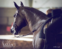 Region3_2015_TuesWestTrail_1741