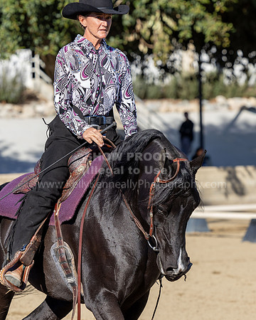 R2_SHC22_CH_WDR3_6321
