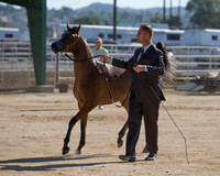 Region3_2015_MonHalter_0934 copy