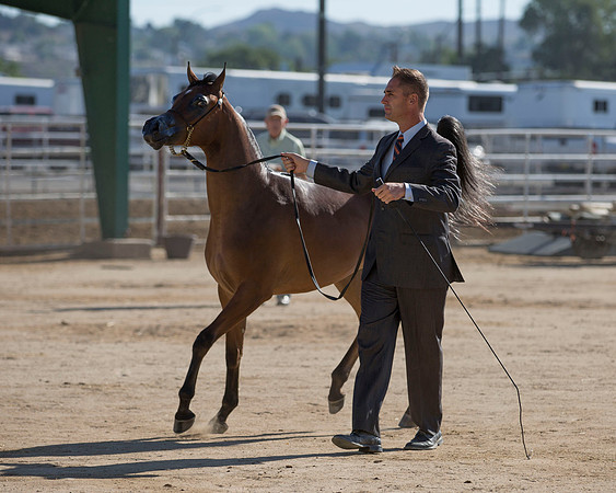 Region3_2015_MonHalter_0934 copy