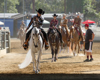 52 Arabian Western Pleasure AOTR