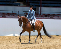 29 HA/AA Hunter Pl AAOTR 19 Years & Over
