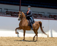 30 HA/AA Country English Pl - Open