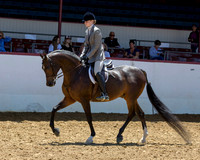 31 Arabian Hunter Pl -JOTR 14-18