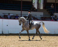 32 HA/AA Hunter Pl - Jr Horse 5 & Under
