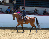 33 Arabian Hunter Pl JOTR 13 & Under