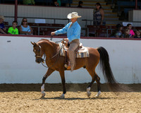 34 Arabian Western Pl - Mares & Geldings