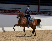 35 HA/AA English Pl - AATR 19 Yrs & Over