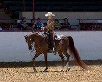 37 Arabian Western Pl - JOTR 18 & Under