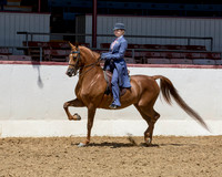 38 HA/AA Country English Pl - Jr Horse 5 & Under