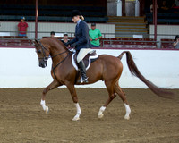 56 Arabian Hunter Pl - Open