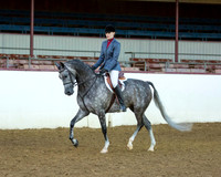 59 Arabian Hunter Pl - AOTR