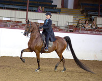 60 Arabian Country Pl - Open