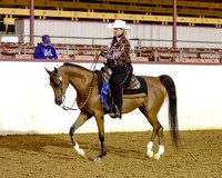 61 Arabian Western Pl - AAOTR Limit Horse
