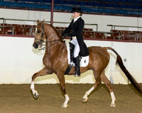 62 HA/AA English Show Hack - Open